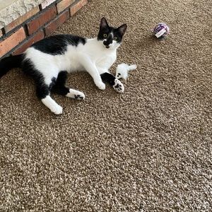 Meet your Posher, April